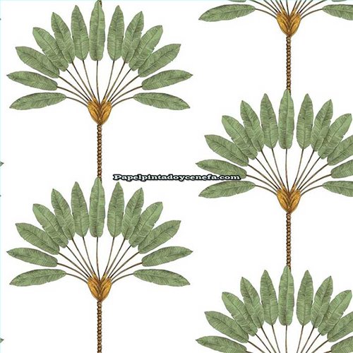 Rollo Papel Pintado TREES Referencia  TR70404.