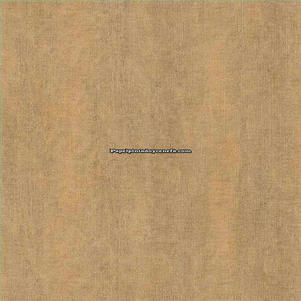 Rollo Papel Pintado FEATURE WALLS Referencia  FW1037.