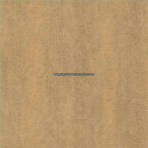Rollo Papel Pintado FEATURE WALLS Referencia  FW1037.