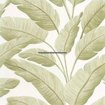 Rollo Papel Pintado BORNEO CASELIO Referencia  BORN106547003.