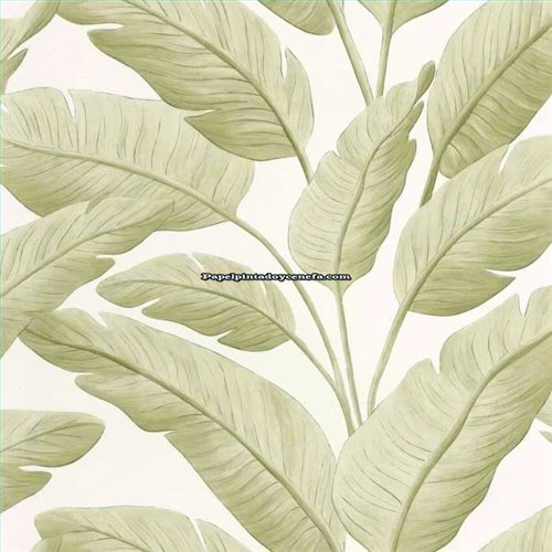 Rollo Papel Pintado BORNEO CASELIO Referencia  BORN106547003.