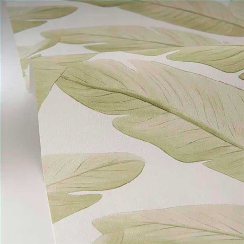 Rollo Papel Pintado BORNEO CASELIO Referencia  BORN106547003.