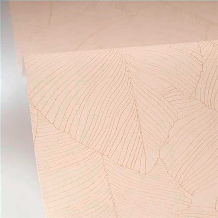 Rollo Papel Pintado BORNEO CASELIO Referencia  BORN106502017.
