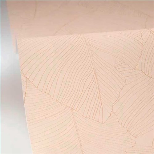 Rollo Papel Pintado BORNEO CASELIO Referencia  BORN106502017.