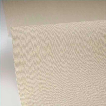 Rollo Papel Pintado BORNEO CASELIO Referencia  BORN106017300.
