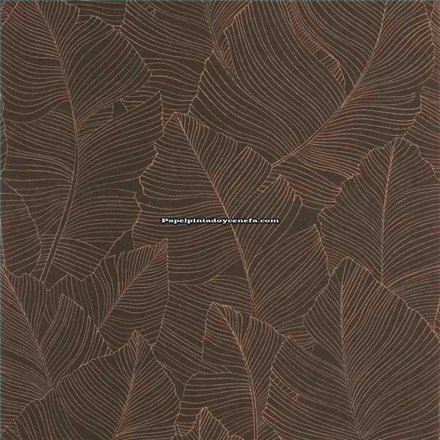 Rollo Papel Pintado BORNEO CASELIO Referencia  BORN106509027.