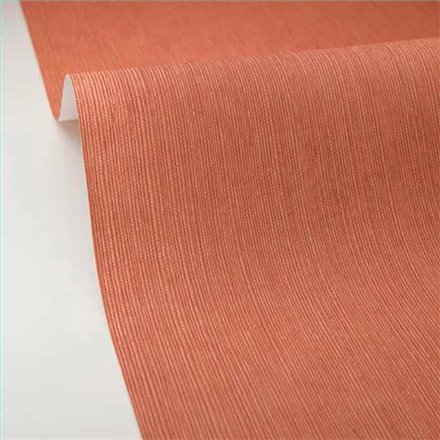 Rollo Papel Pintado BORNEO CASELIO Referencia  BORN106012450.