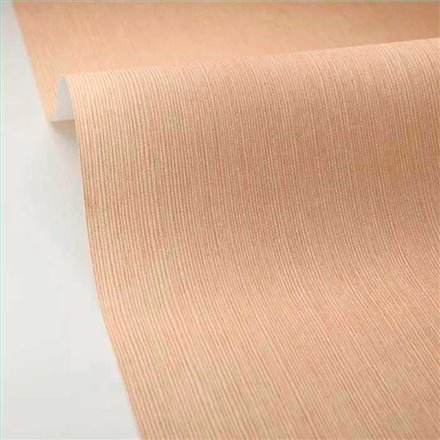 Rollo Papel Pintado BORNEO CASELIO Referencia  BORN106011245.