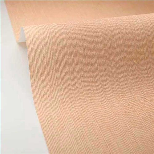 Rollo Papel Pintado BORNEO CASELIO Referencia  BORN106011245.