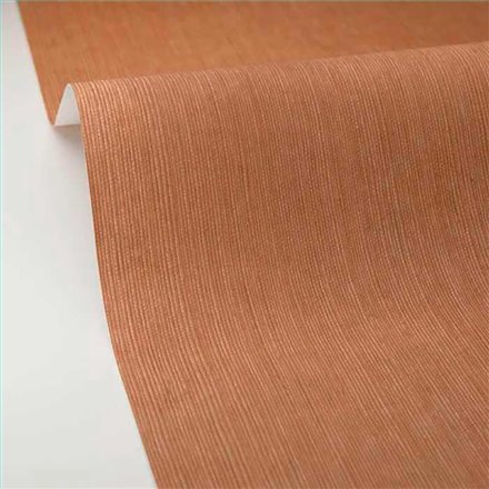 Rollo Papel Pintado BORNEO CASELIO Referencia  BORN106012367.