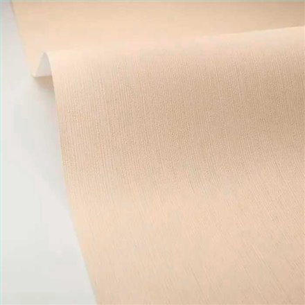 Rollo Papel Pintado BORNEO CASELIO Referencia  BORN106011129.