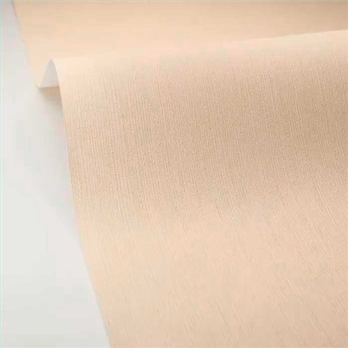 Rollo Papel Pintado BORNEO CASELIO Referencia  BORN106011129.