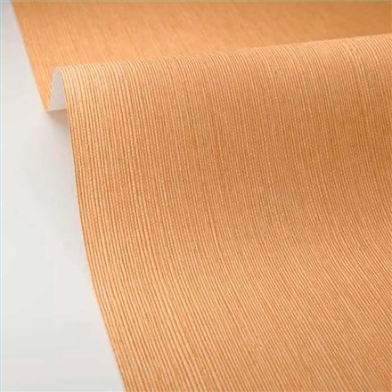 Rollo Papel Pintado BORNEO CASELIO Referencia  BORN106011403.