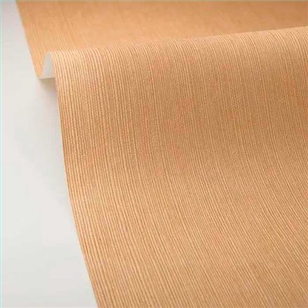 Rollo Papel Pintado BORNEO CASELIO Referencia  BORN106011370.