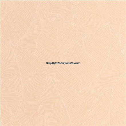 Rollo Papel Pintado BORNEO CASELIO Referencia  BORN106500010.