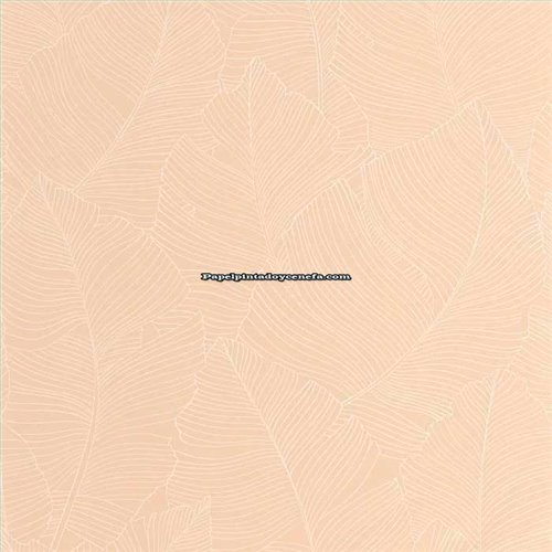 Rollo Papel Pintado BORNEO CASELIO Referencia  BORN106500010.