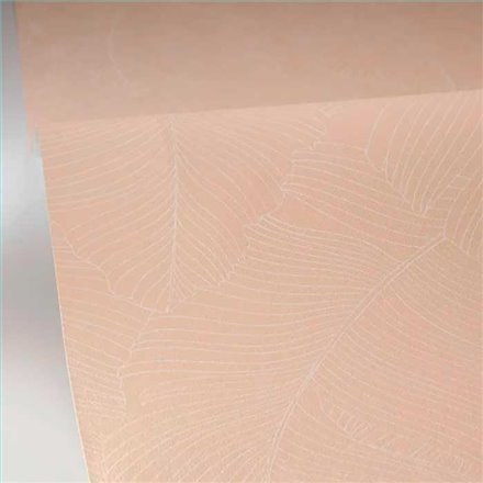 Rollo Papel Pintado BORNEO CASELIO Referencia  BORN106500010.