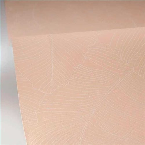 Rollo Papel Pintado BORNEO CASELIO Referencia  BORN106500010.