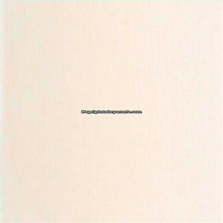 Rollo Papel Pintado BORNEO CASELIO Referencia  BORN106011045.