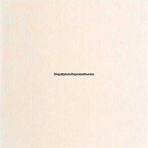 Rollo Papel Pintado BORNEO CASELIO Referencia  BORN106011045.