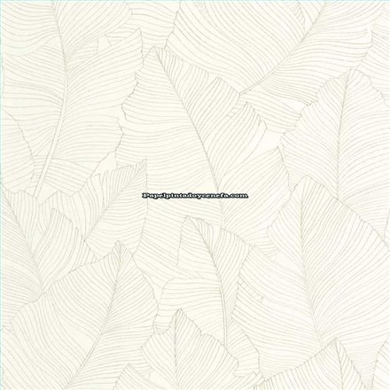 Rollo Papel Pintado BORNEO CASELIO Referencia  BORN106507050.