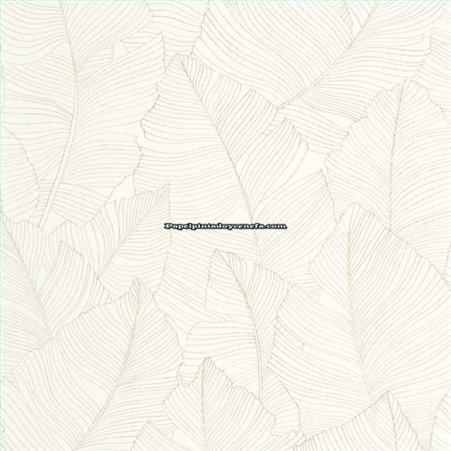 Rollo Papel Pintado BORNEO CASELIO Referencia  BORN106507050.