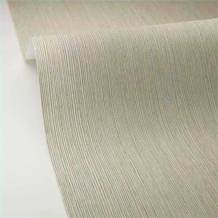Rollo Papel Pintado BORNEO CASELIO Referencia  BORN106017004.