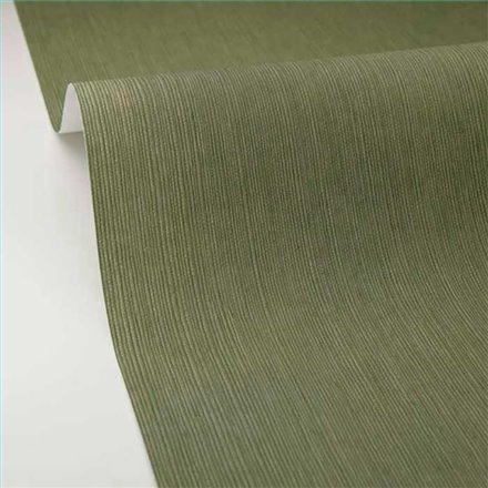 Rollo Papel Pintado BORNEO CASELIO Referencia  BORN106017230.