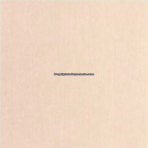 Rollo Papel Pintado BORNEO CASELIO Referencia  BORN106011500.