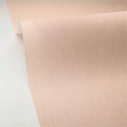 Rollo Papel Pintado BORNEO CASELIO Referencia  BORN106011500.