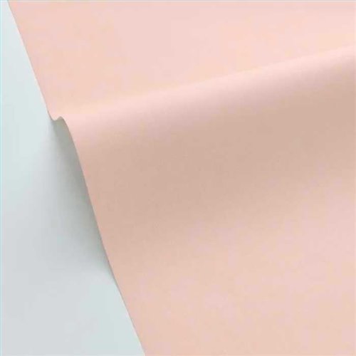 Rollo Papel Pintado BALADE Referencia  BLD100601212.