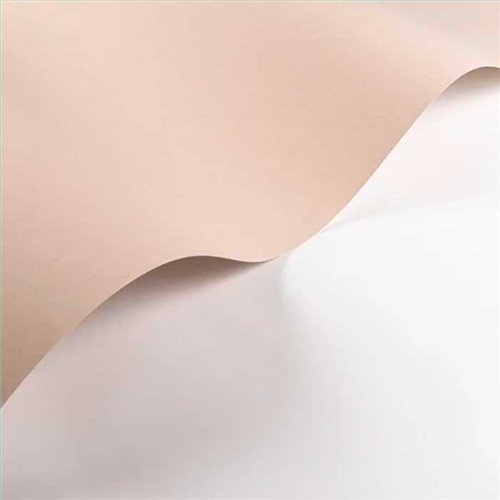 Rollo Papel Pintado ANNÉES FOLLES Referencia  ANFO200331212.