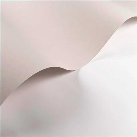 Rollo Papel Pintado ANNÉES FOLLES Referencia  ANFO200339119.