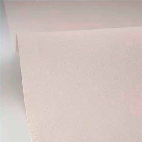 Rollo Papel Pintado TWIST Referencia  TST103221050.