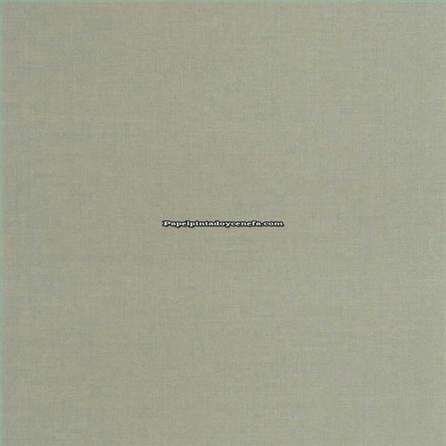 Rollo Papel Pintado CARNABY STREET Referencia  CARN200569255.