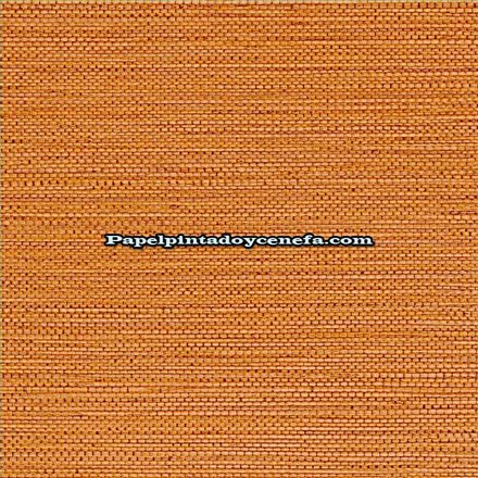 Rollo Papel Pintado GOLFE DU BENGALE Referencia  75972038.
