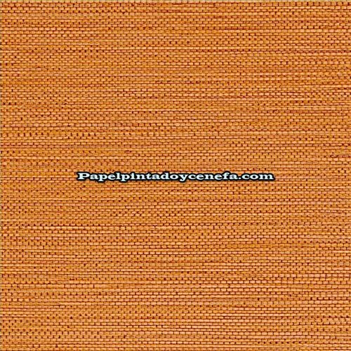 Rollo Papel Pintado GOLFE DU BENGALE Referencia  75972038.