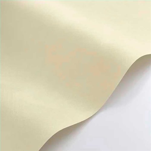 Rollo Papel Pintado NEST Referencia  NEST201000424.