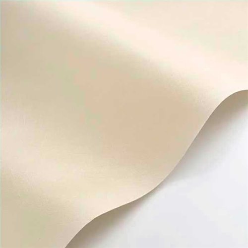 Rollo Papel Pintado NEST Referencia  NEST201001010.