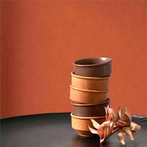Rollo Papel Pintado NEST Referencia  NEST201003774.
