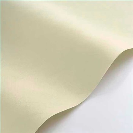Rollo Papel Pintado NEST Referencia  NEST201007077.