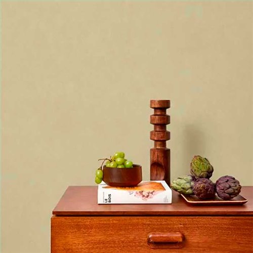 Rollo Papel Pintado NEST Referencia  NEST201007202.