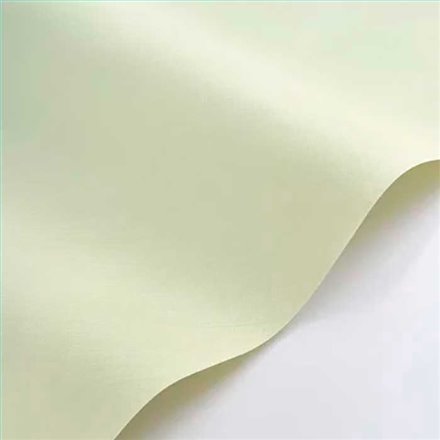 Rollo Papel Pintado NEST Referencia  NEST201007007.