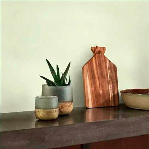 Rollo Papel Pintado NEST Referencia  NEST201007171.