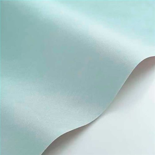 Rollo Papel Pintado NEST Referencia  NEST201006106.