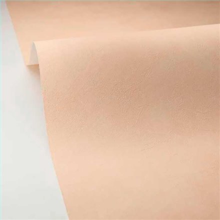 Rollo Papel Pintado ORIGINE CASELIO Referencia  OGN106081244.