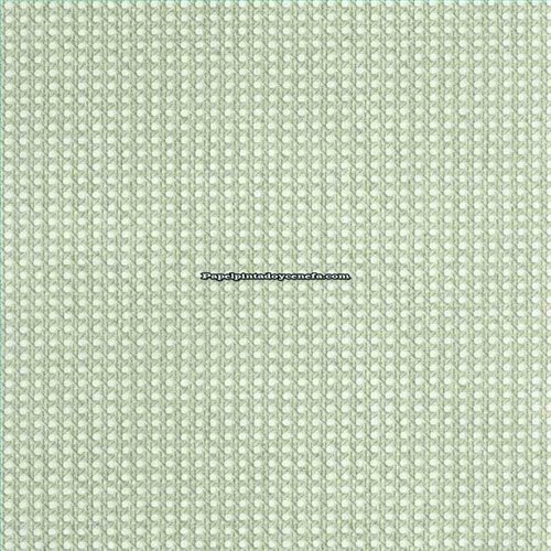 Rollo Papel Pintado MATIERES CASELIO Referencia  MMT106027050.