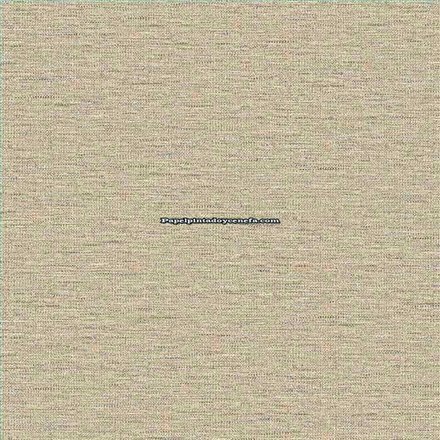 Rollo Papel Pintado CARL ROBINSON 21 THE GENTLEMAN Referencia  CL70402.