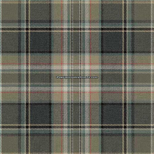 Rollo Papel Pintado CARL ROBINSON 21 THE GENTLEMAN Referencia  CL71208.
