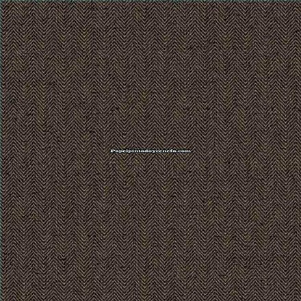 Rollo Papel Pintado CARL ROBINSON 21 THE GENTLEMAN Referencia  CL70900.